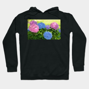 Big And Bright Hydrangeas Hoodie